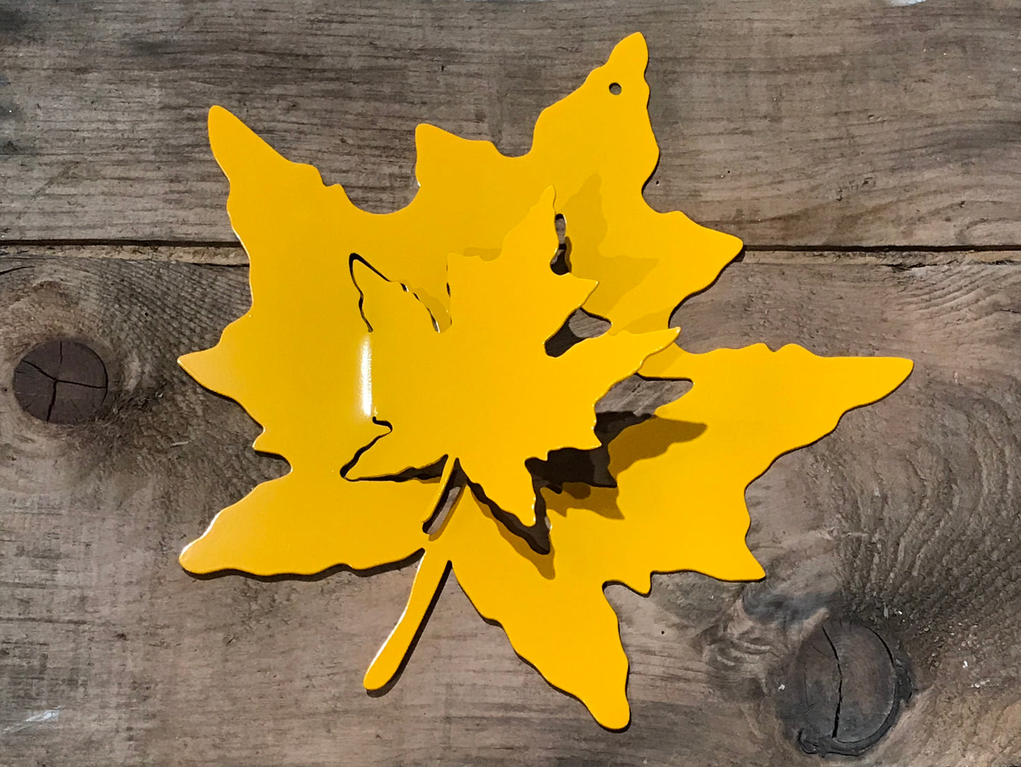 Maple Leaves with Maple Leaf - 3D